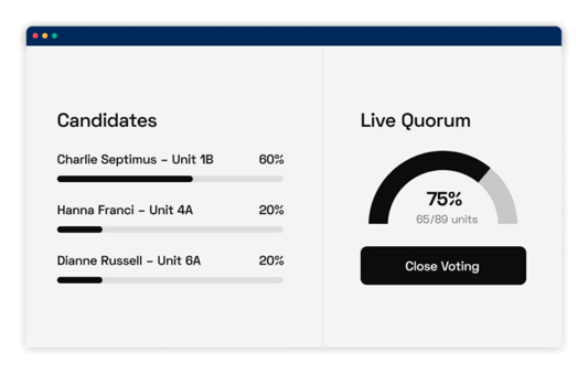 Virtual Meetings and E-Voting